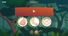 Body Parts