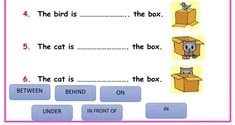 Prepositions 5