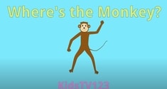 Where Is The Monkey?