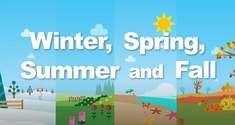 Winter, Spring, Summer and Fall