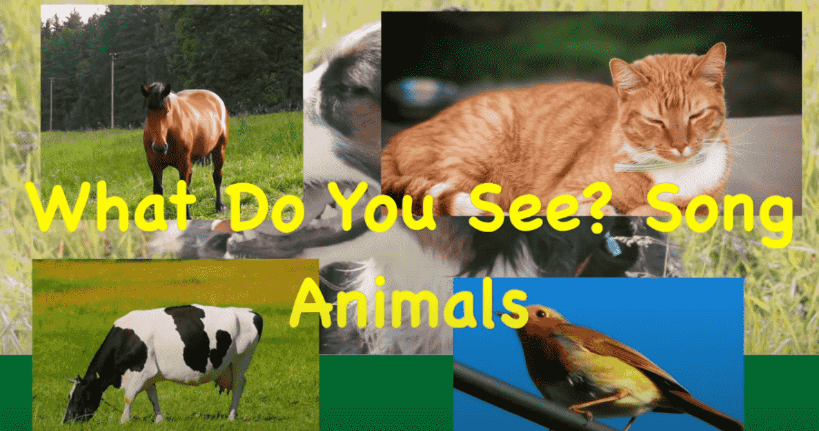 What Do You See?
