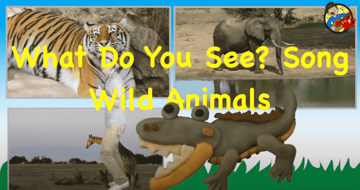 What Do You See? Song