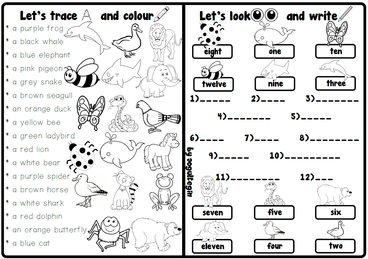 Let's Trace and Colour