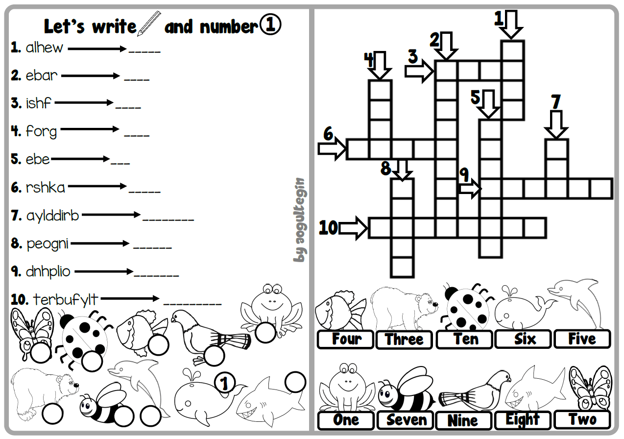 Let's Write and Number