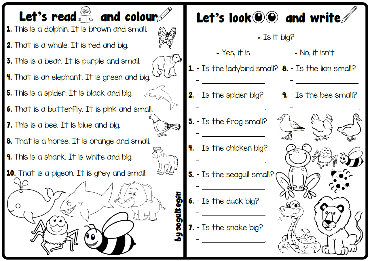 Let's Read and Colour