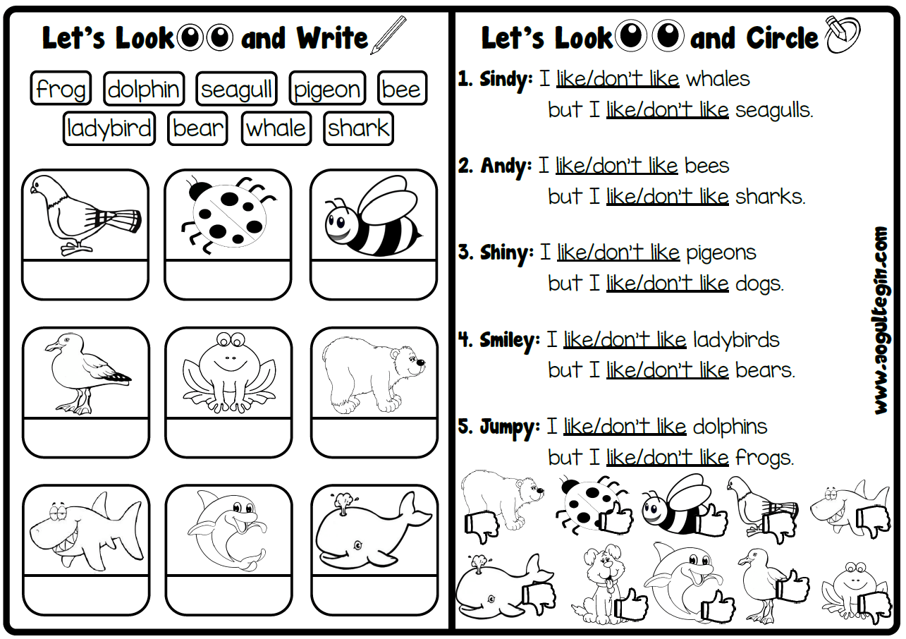 Let's Look and Circle