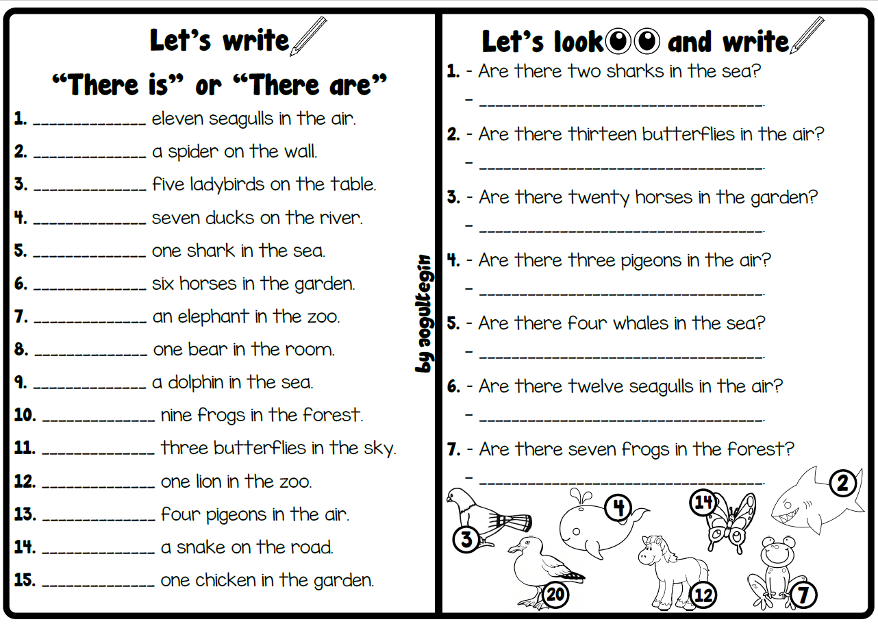 Let's Look and Write