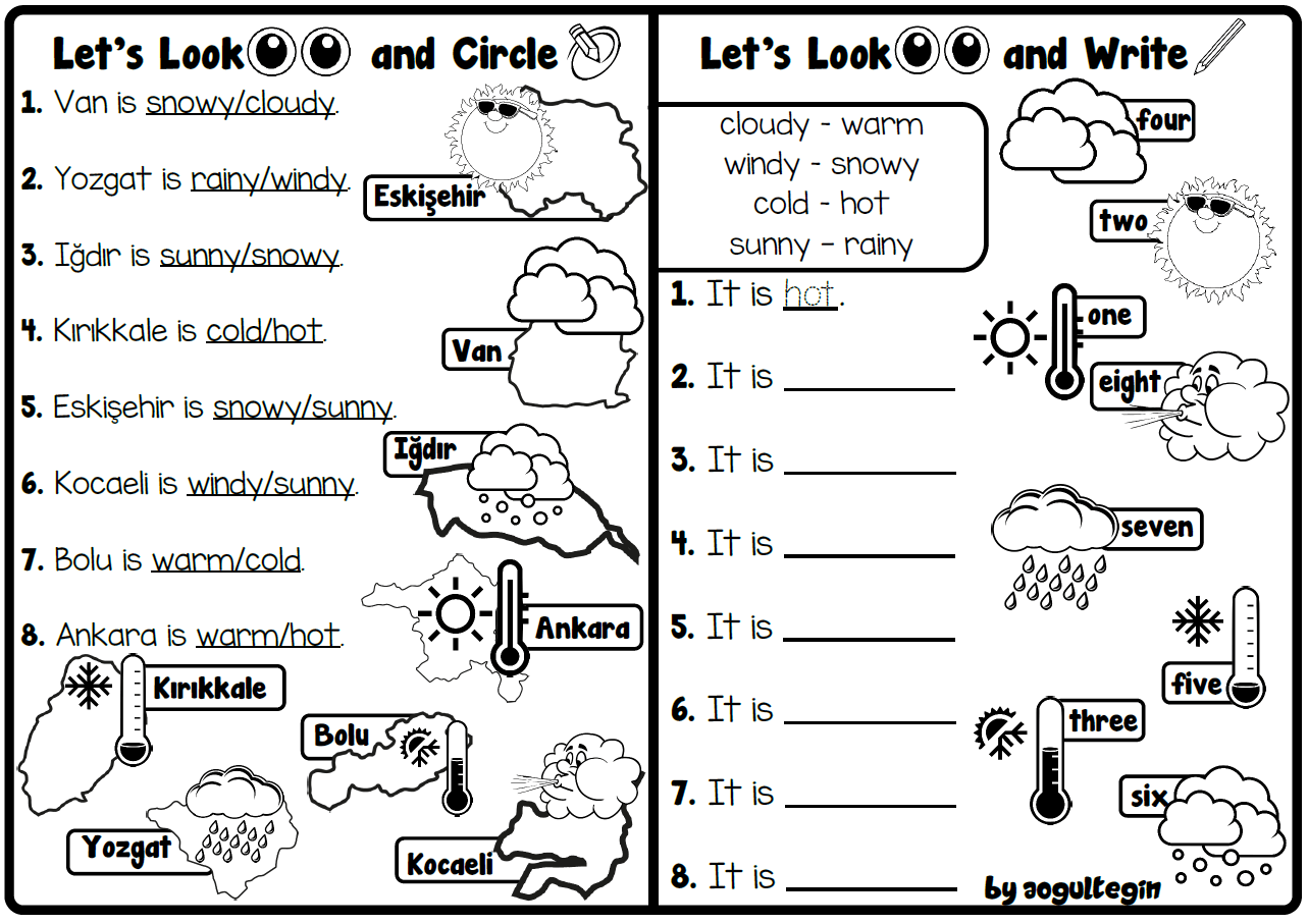 Let's Look and Circle