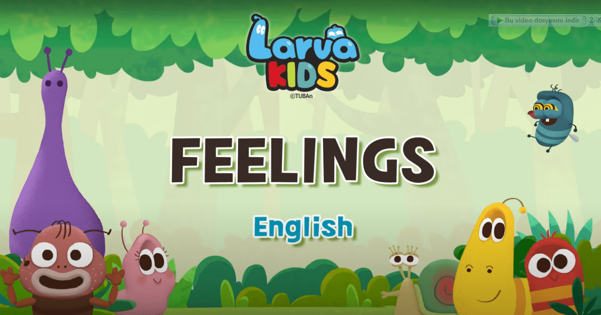 Feelings 3