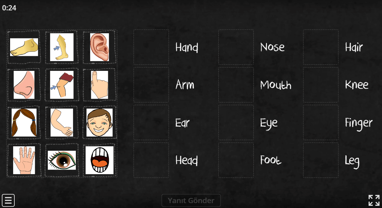 Body Parts