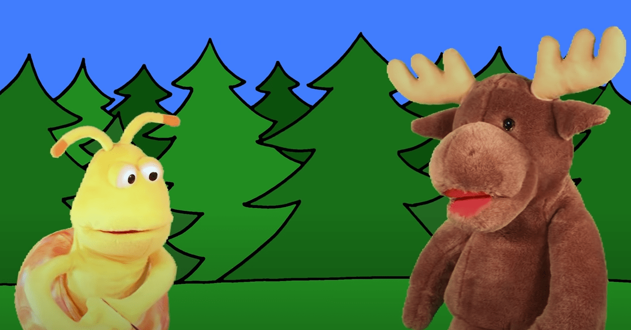 What Do You Do Every Day?