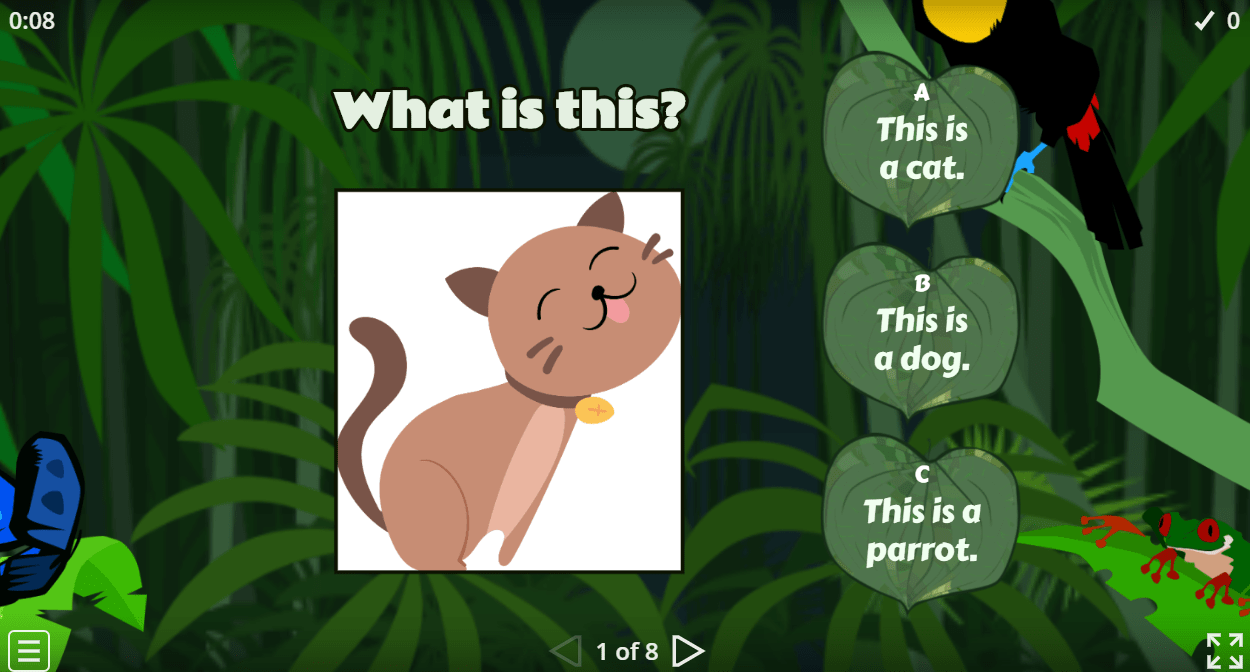 What is this?