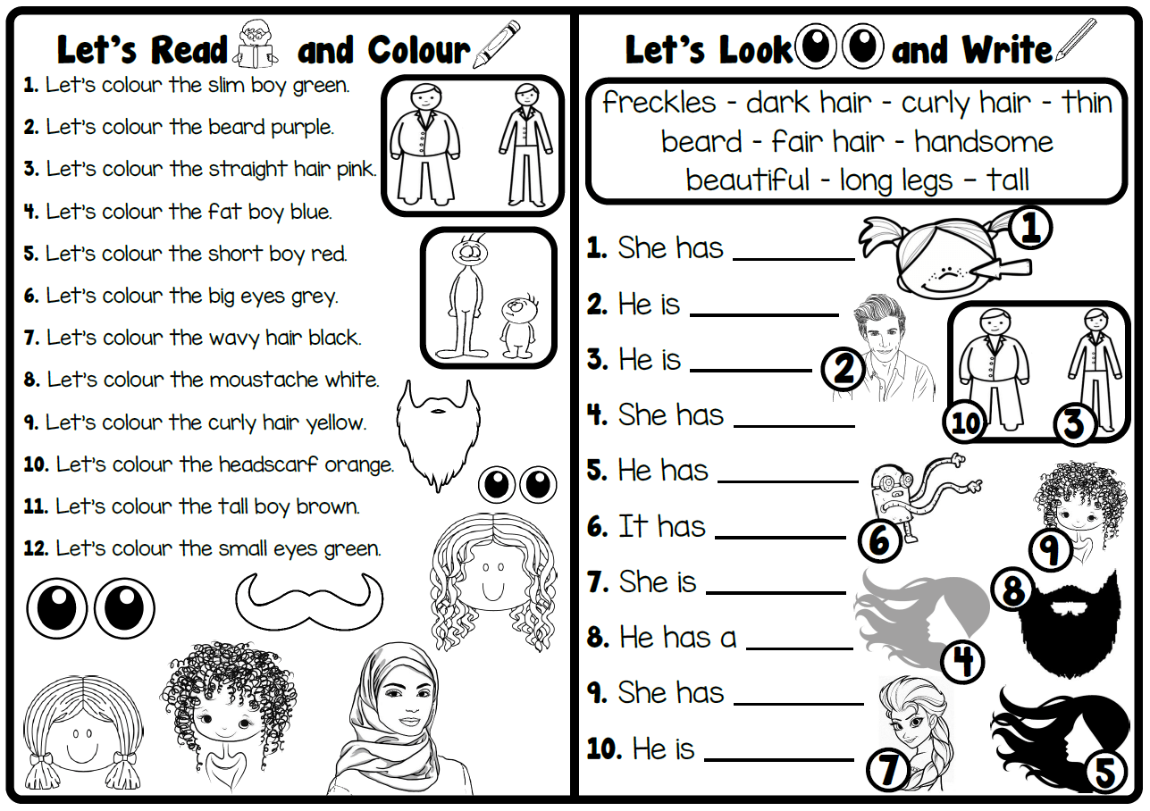 Let's Read and Colour