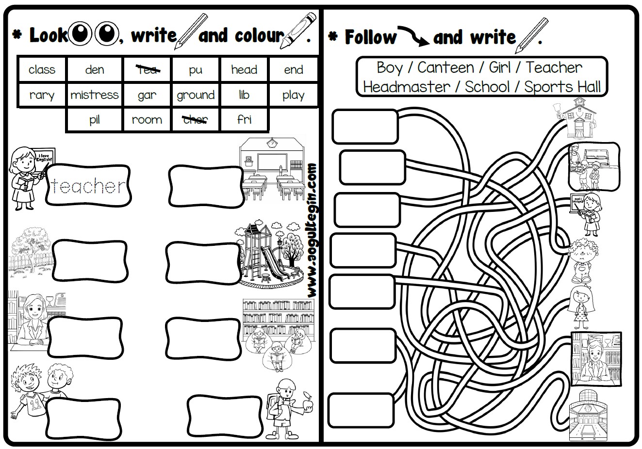 Look, Write and Colour