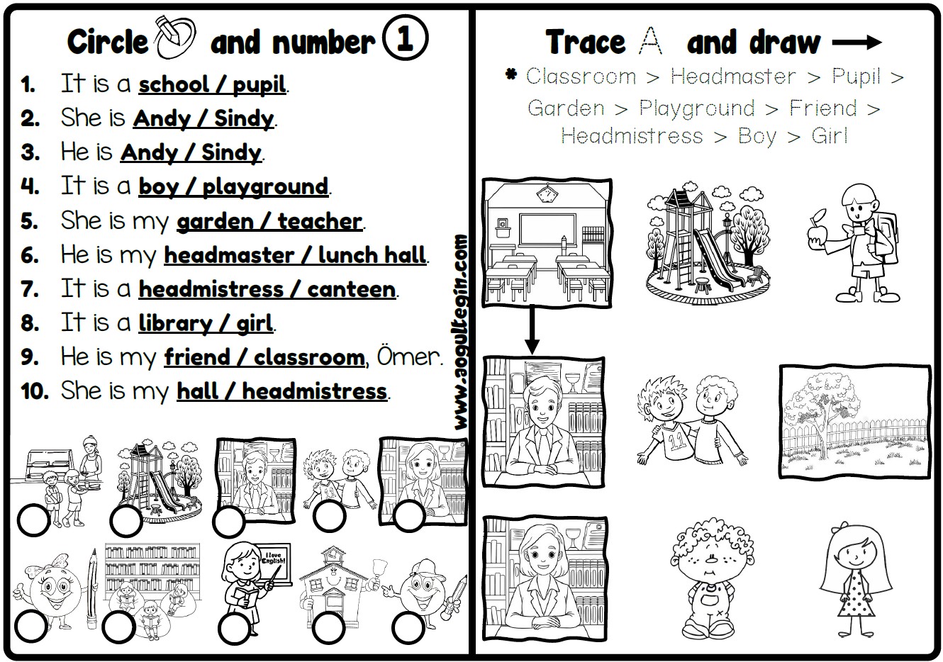 Circle and Number